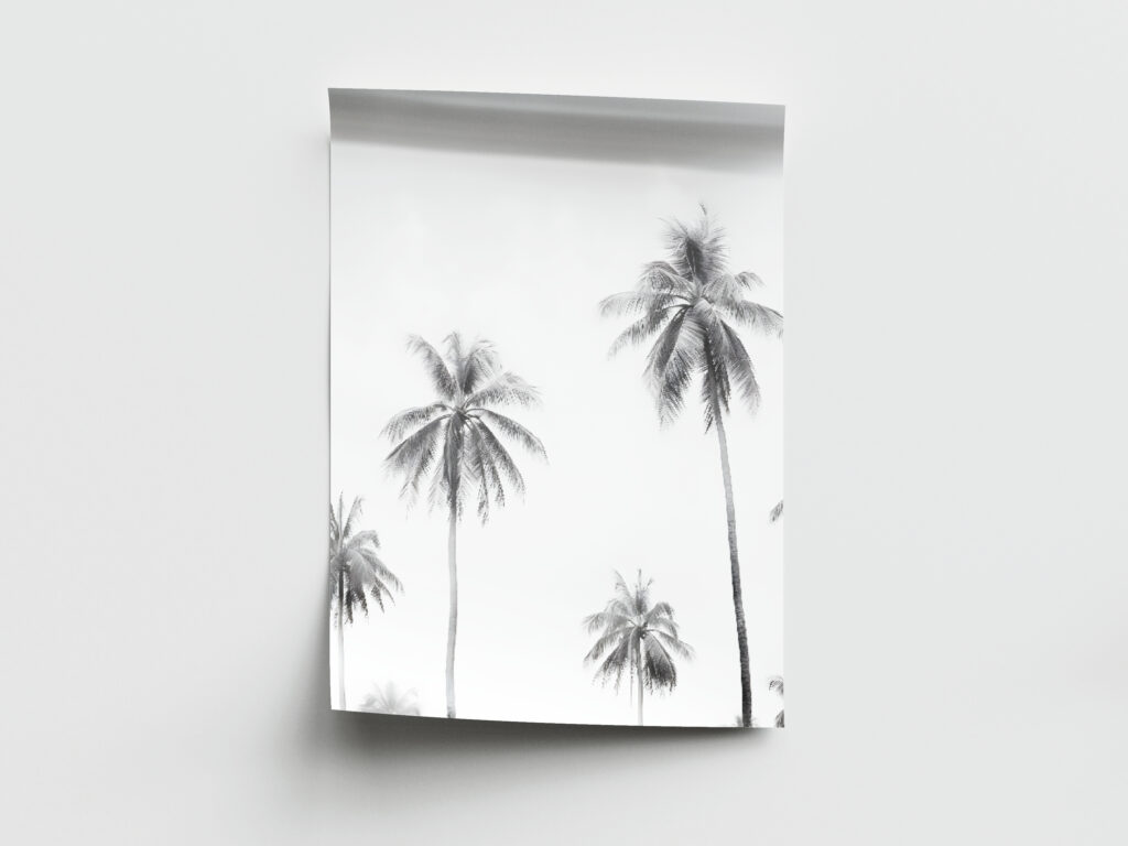 Palmy - Słoneczna wyspa - Czarno-biały plakat - Tropikalne palmy Hawaje Sztuka ścienna Minimalistyczna fotografia